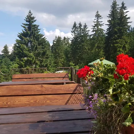 Bed and breakfast Bialy Potok