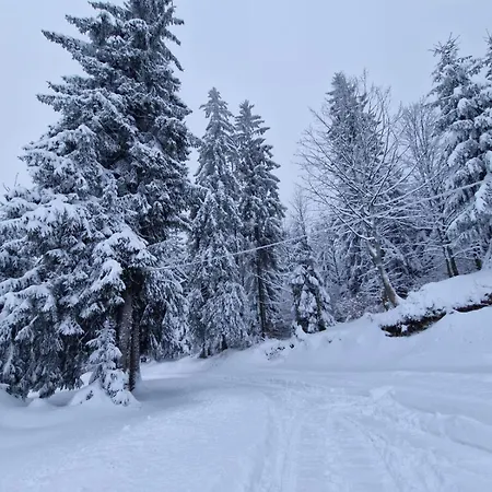 Bed and breakfast Bialy Potok