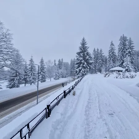 Bed and breakfast Bialy Potok
