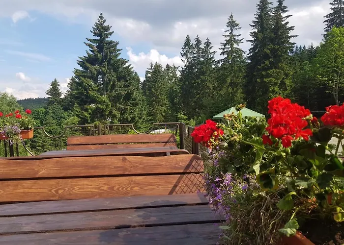 Bed & Breakfast Bialy Potok