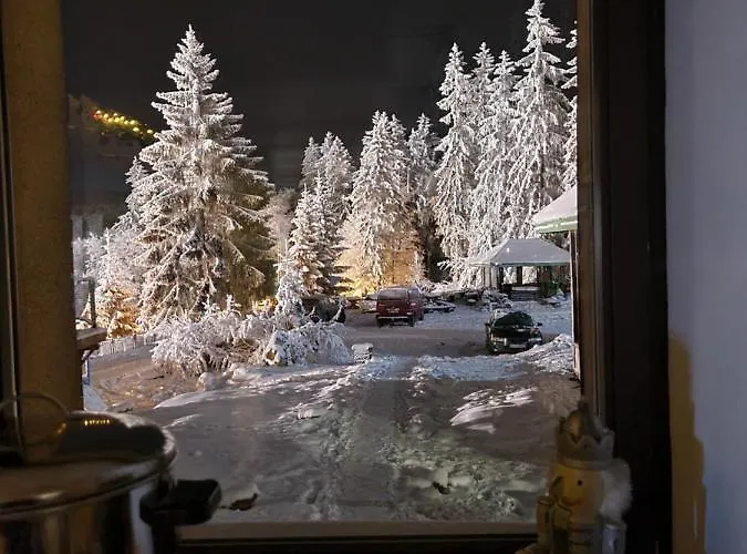 Bed & Breakfast Bialy Potok