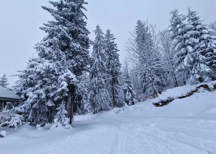 Frühstückspension Bialy Potok