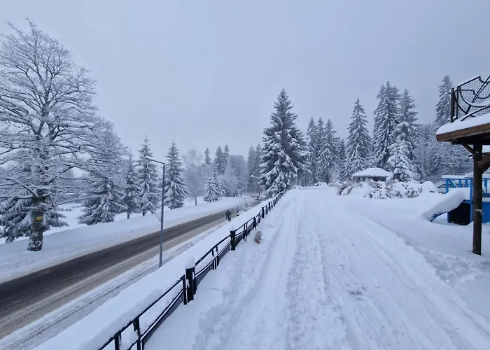 Frühstückspension Bialy Potok